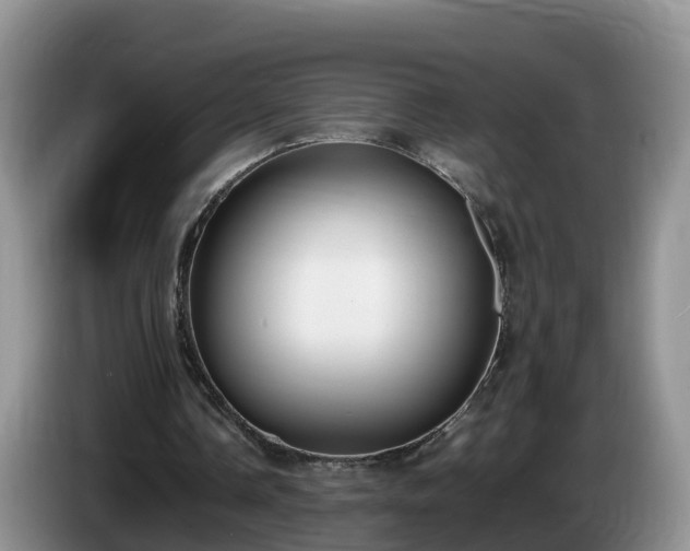 X0000086240338200704051223