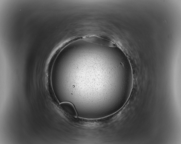 X0000086240342200704051223