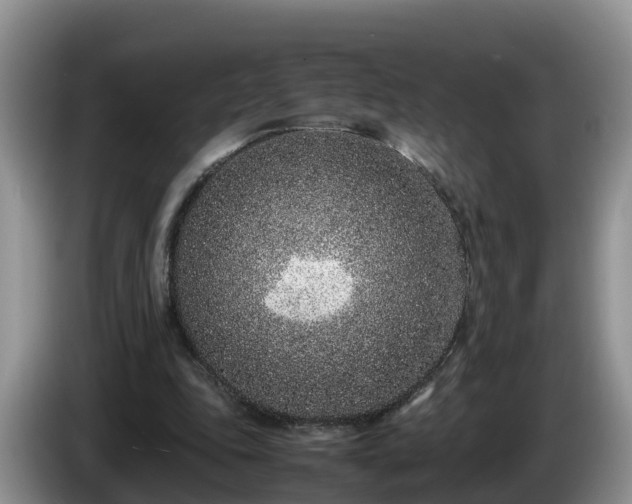 X0000086240343200704051223