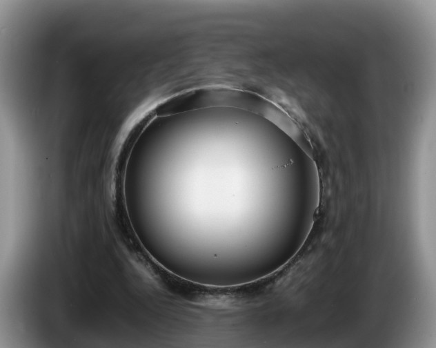 X0000086240344200704051223
