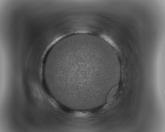 X0000086240346200704051224