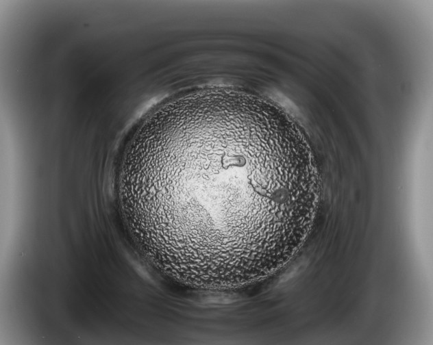 X0000086240347200704051224