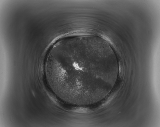 X0000086240348200704051224