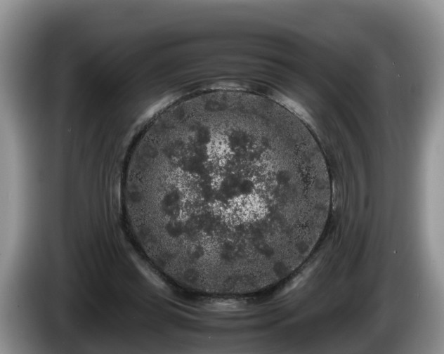X0000086240349200704051224
