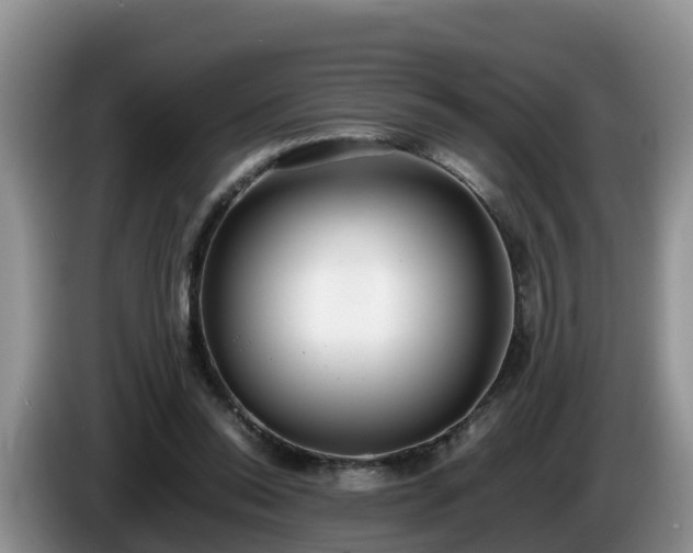 X0000086240350200704051224