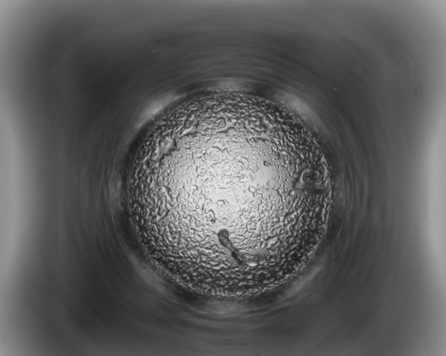 X0000086240351200704051224
