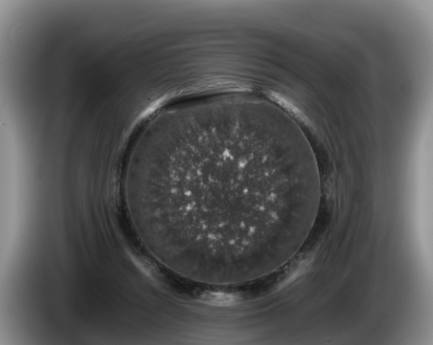 X0000086240352200704051224