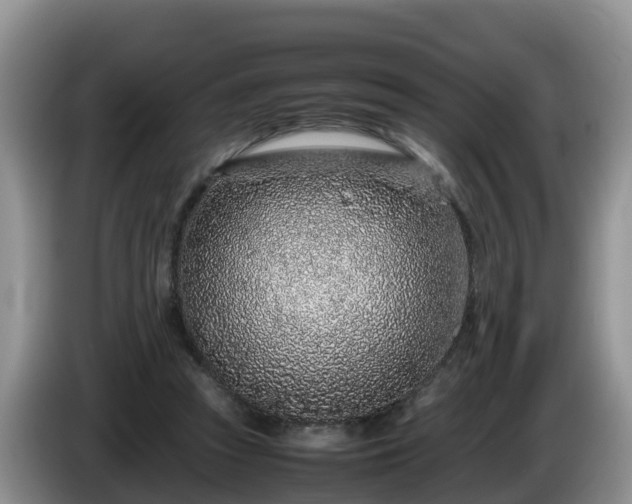 X0000086240353200704051224