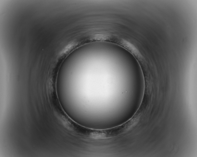 X0000086240354200704051224