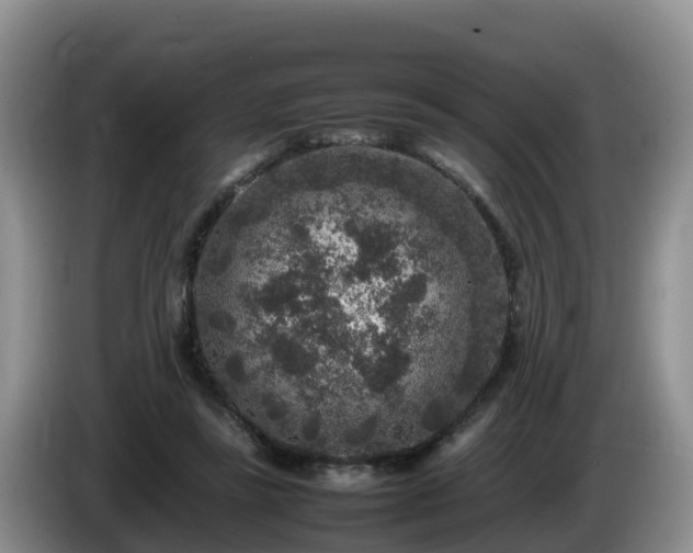 X0000086240355200704051224