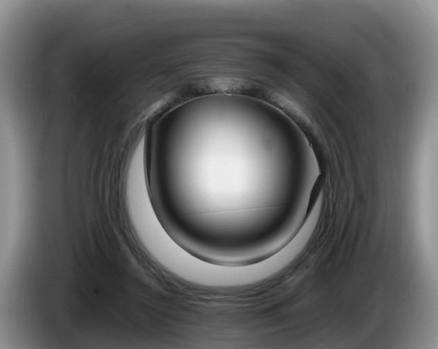 X0000086240356200704051224
