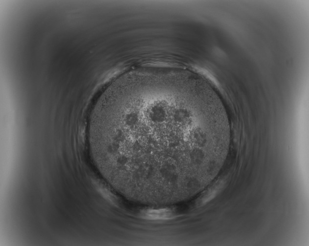 X0000086240357200704051224