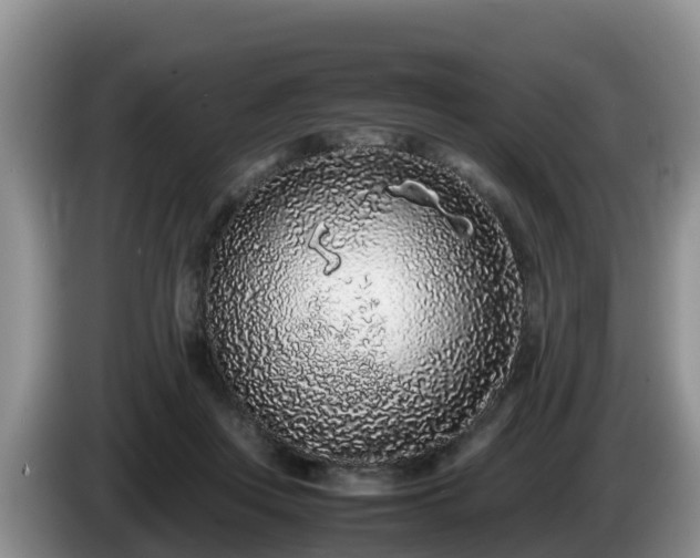 X0000086240359200704051224