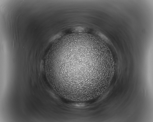 X0000086240361200704051224