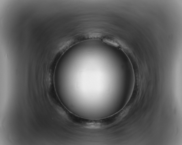 X0000086240362200704051224