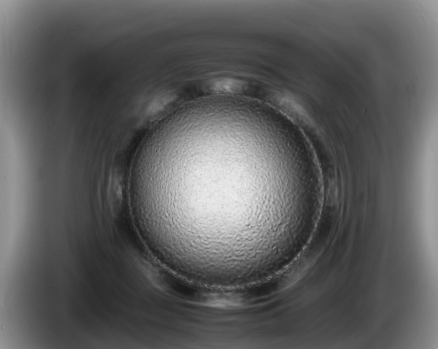X0000086240363200704051224