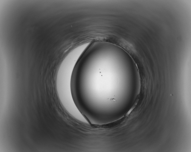 X0000086240364200704051224