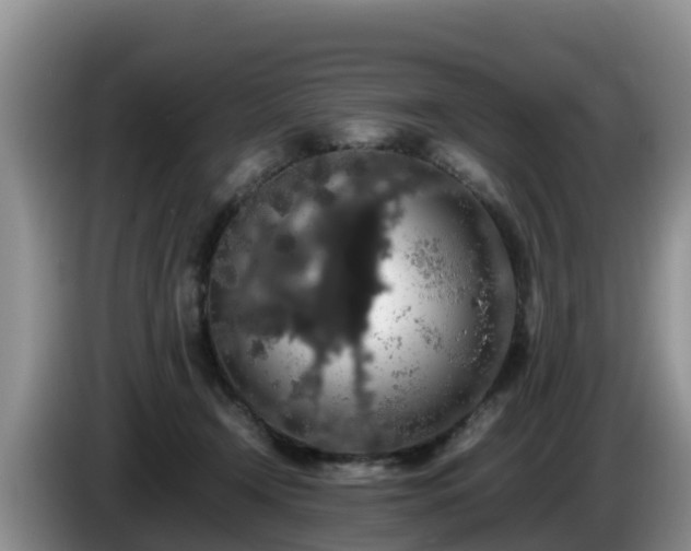 X0000086240366200704051224
