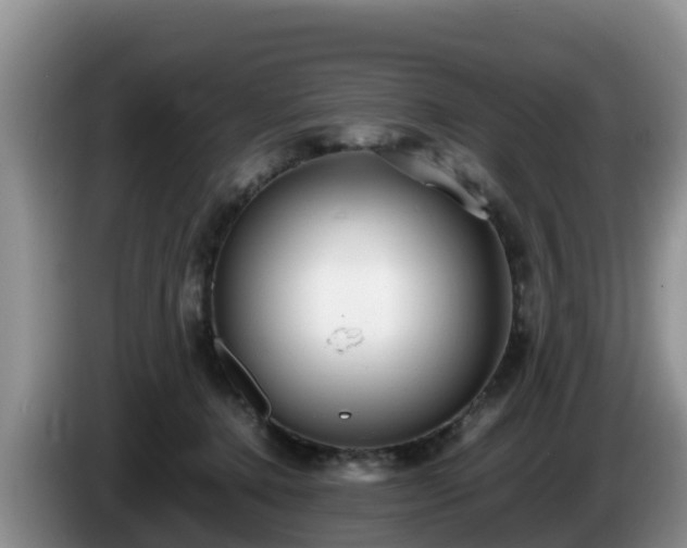 X0000086240368200704051224