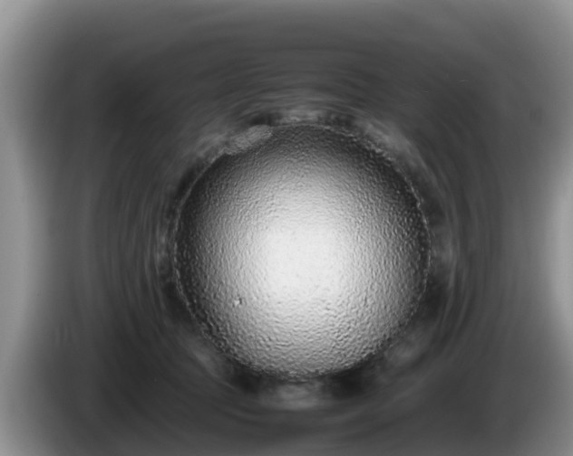 X0000086240369200704051224
