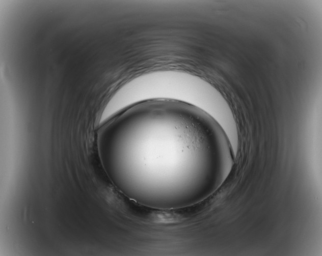 X0000086240372200704051224