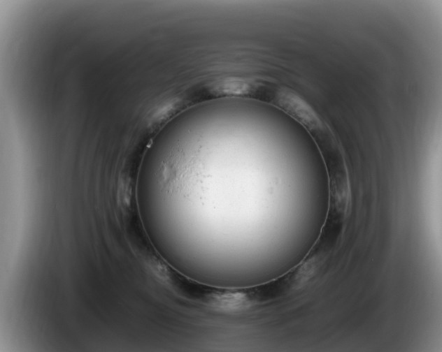 X0000086240374200704051224