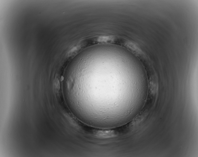 X0000086240375200704051224