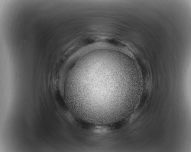 X0000086240376200704051224