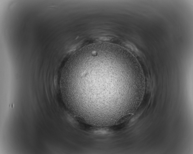 X0000086240377200704051224