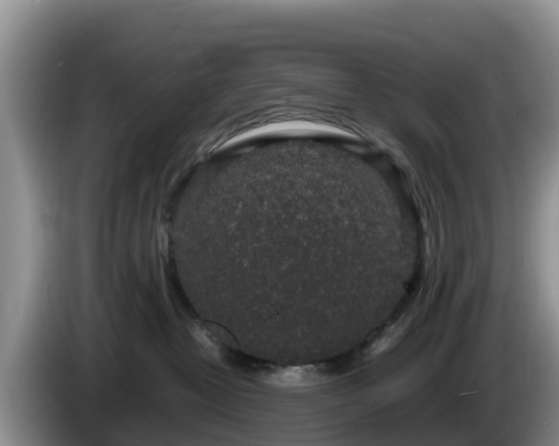 X0000086240382200704051224
