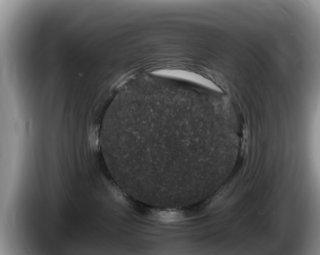 X0000086240383200704051224