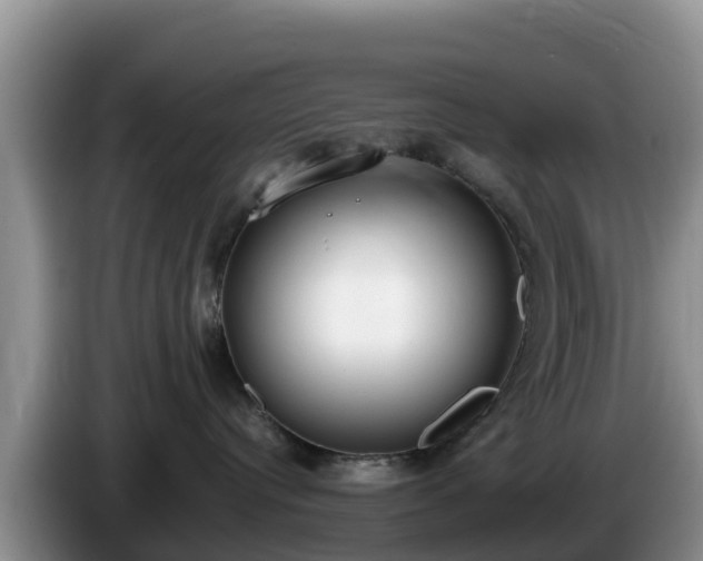 X0000086240384200704051224