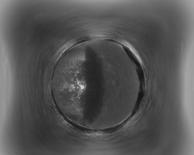 X0000086240385200704051223