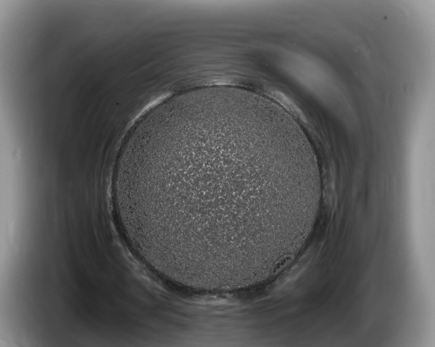X0000086240386200704051223