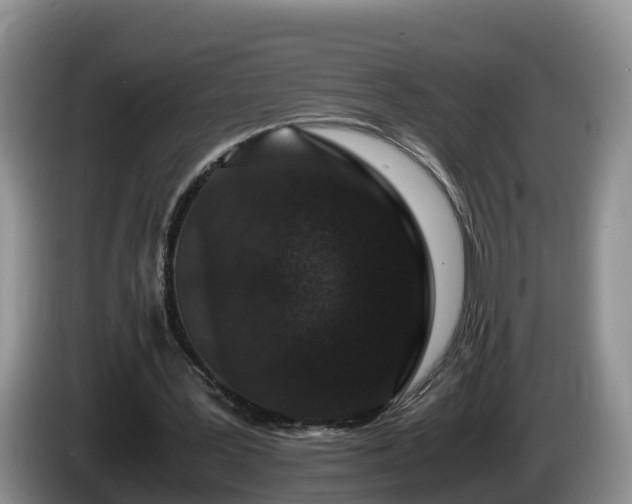 X0000086240387200704051223