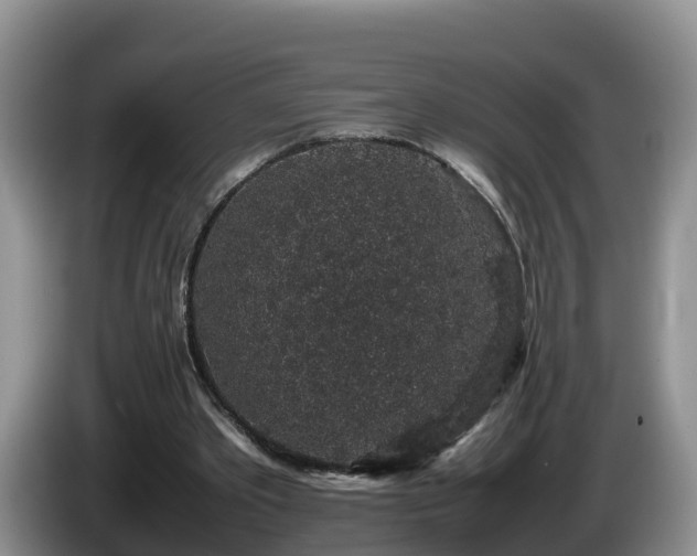X0000086240389200704051223