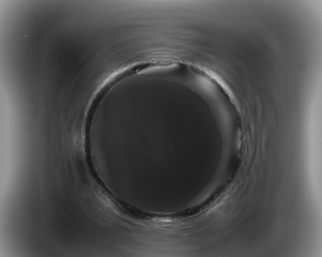 X0000086240391200704051223