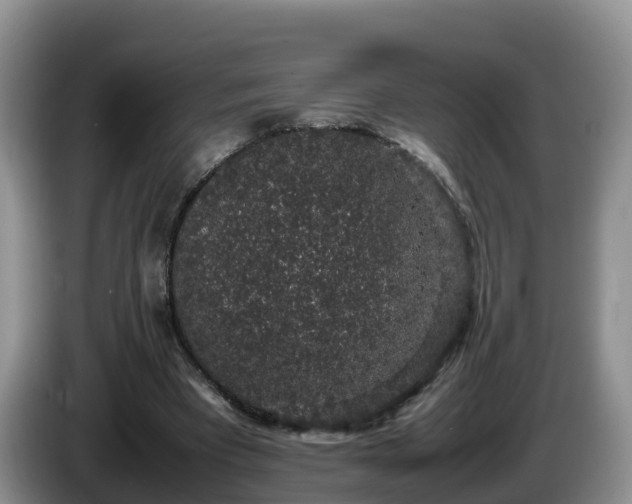 X0000086240393200704051223