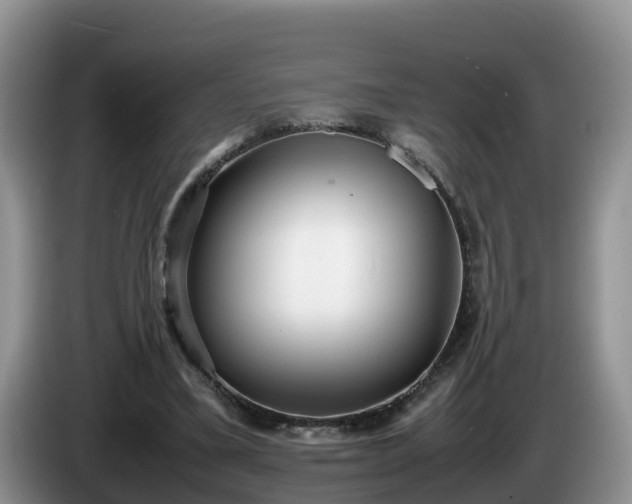 X0000086240395200704051223
