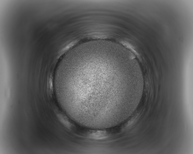 X0000086240398200704051223