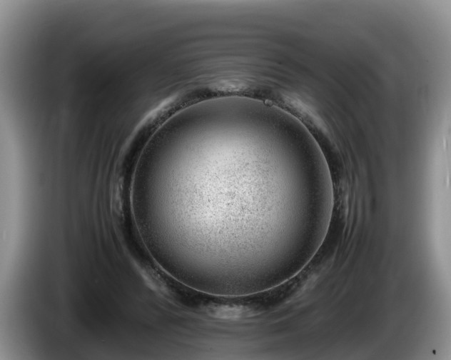 X0000086240400200704051223