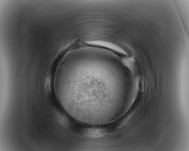 X0000086240404200704051223