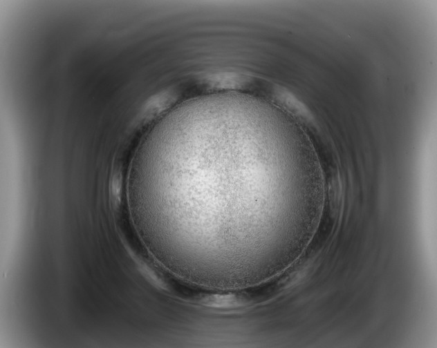 X0000086240406200704051223