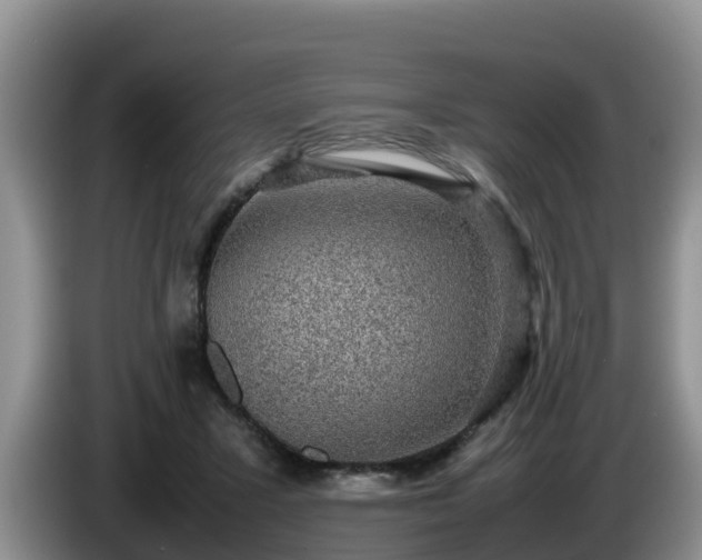 X0000086240407200704051223