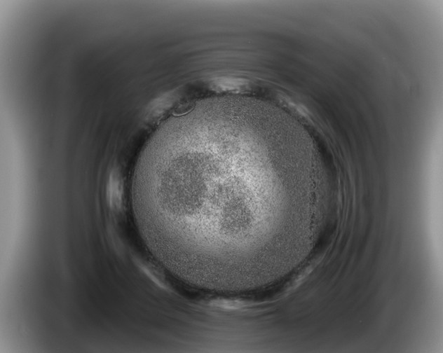 X0000086240408200704051223
