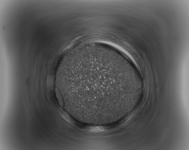 X0000086240409200704051223