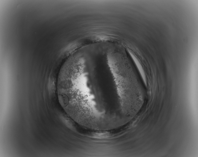 X0000086240410200704051223