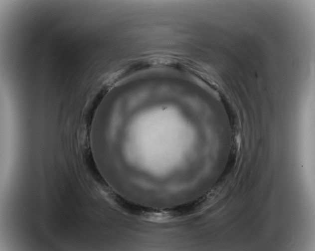 X0000086240411200704051223
