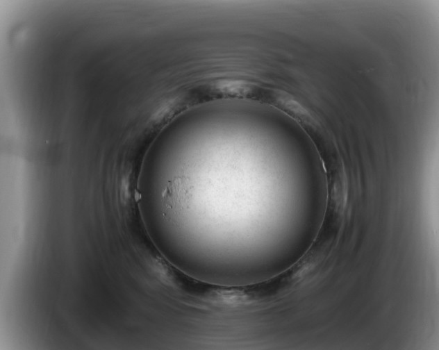 X0000086240424200704051223