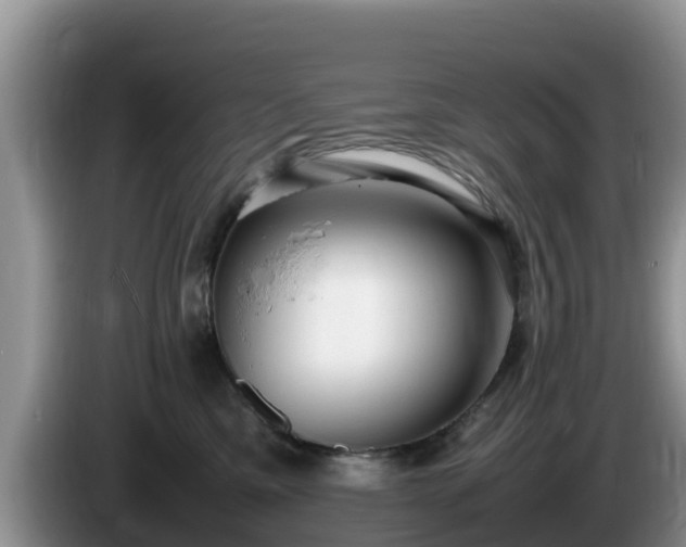 X0000086240425200704051223